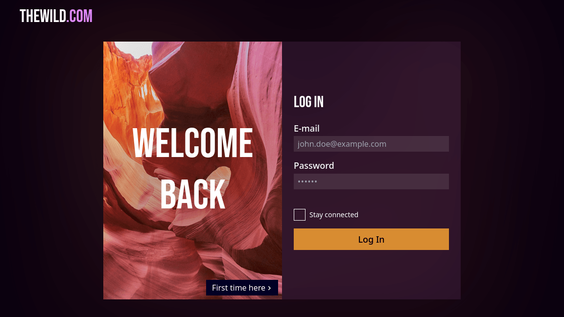 Interface de connexion de TheWild Concept